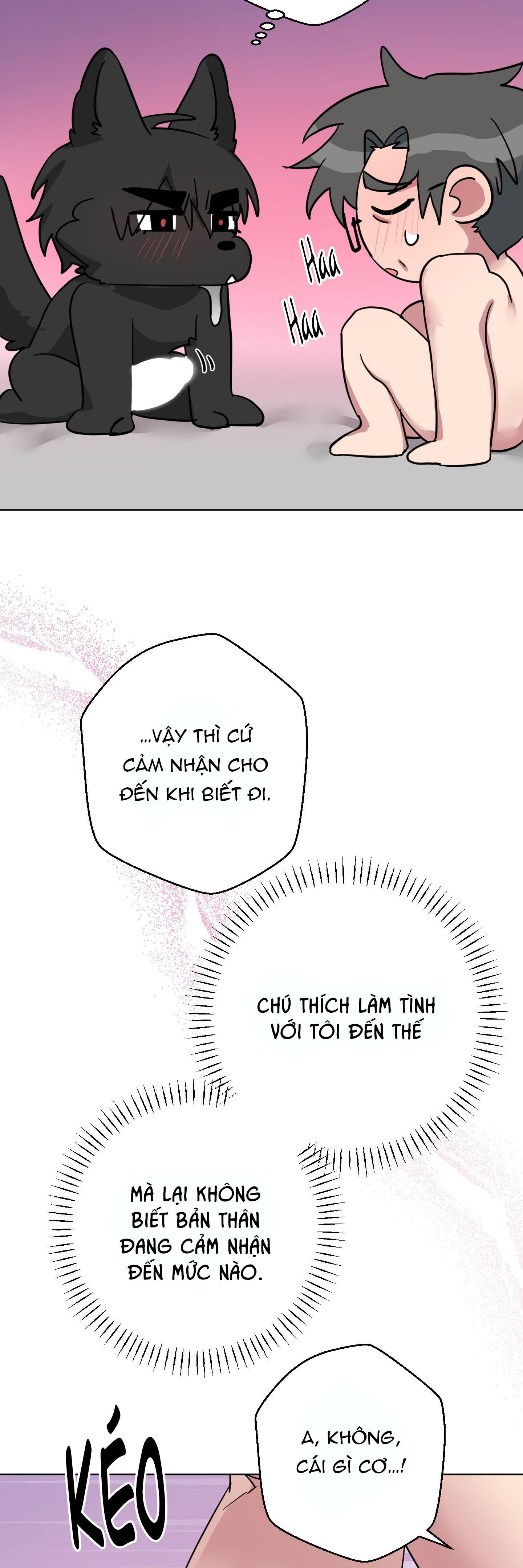 CHÚ ĐÃ BIẾT HẾT RỒI SAO ? Chapter 40 - Next 