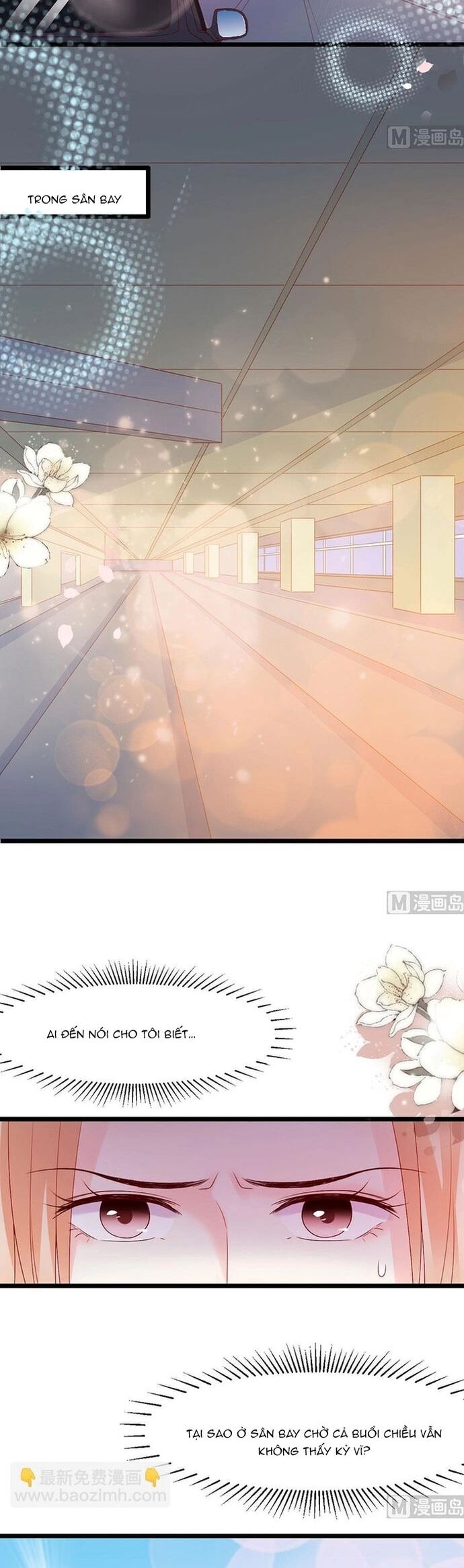 Chu Tiên Sinh, Ép Cưới Phạm Pháp Đó Chapter 115 - Trang 2
