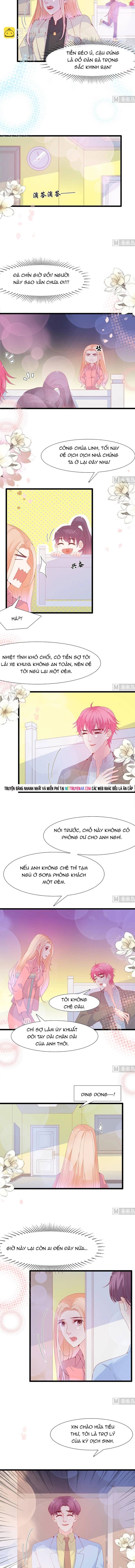 Chu Tiên Sinh, Ép Cưới Phạm Pháp Đó Chapter 124 - Trang 2