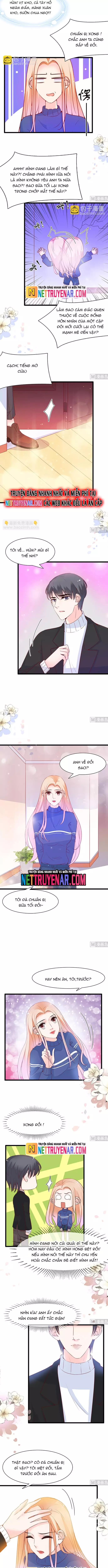 Chu Tiên Sinh, Ép Cưới Phạm Pháp Đó Chapter 88 - Trang 3