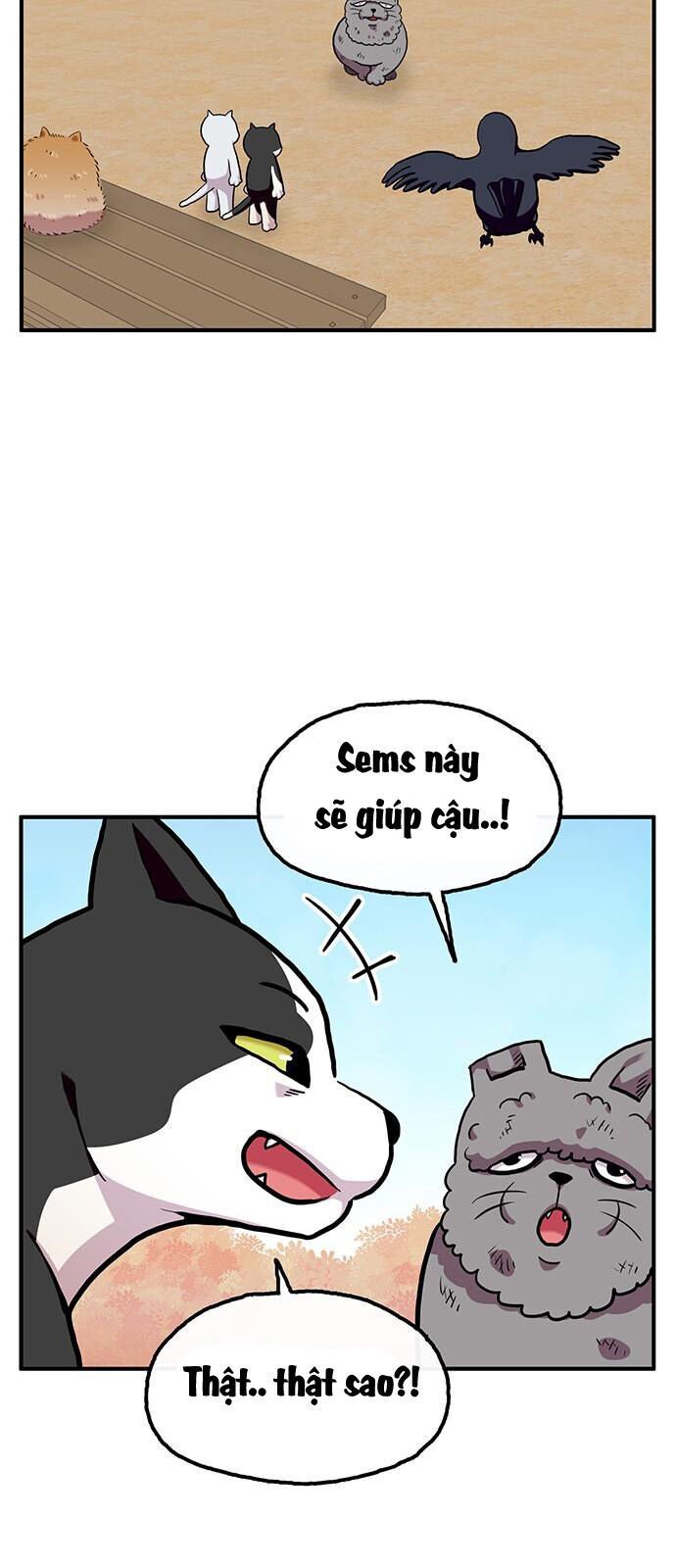 Chúa Tể Muôn Loài Chapter 26 - Trang 3