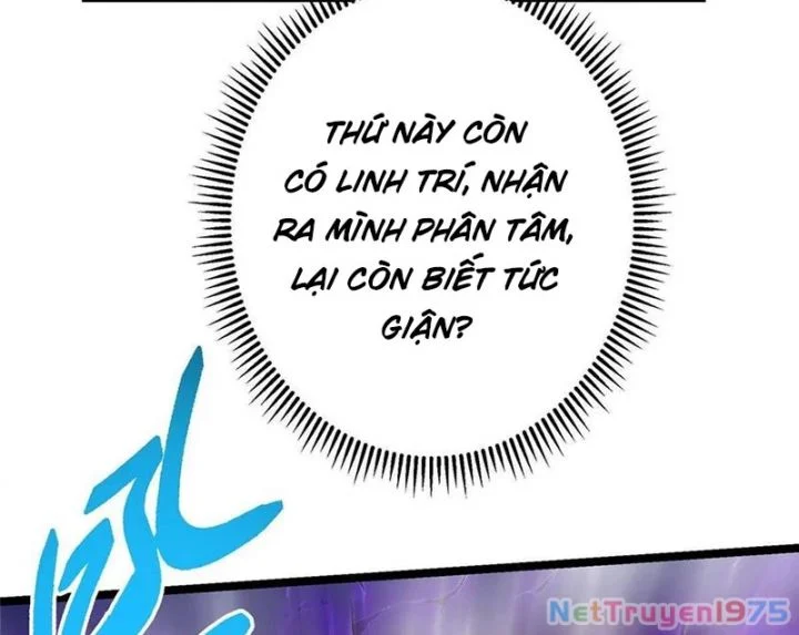Chưởng Môn Khiêm Tốn Chút Chapter 499 - Trang 2