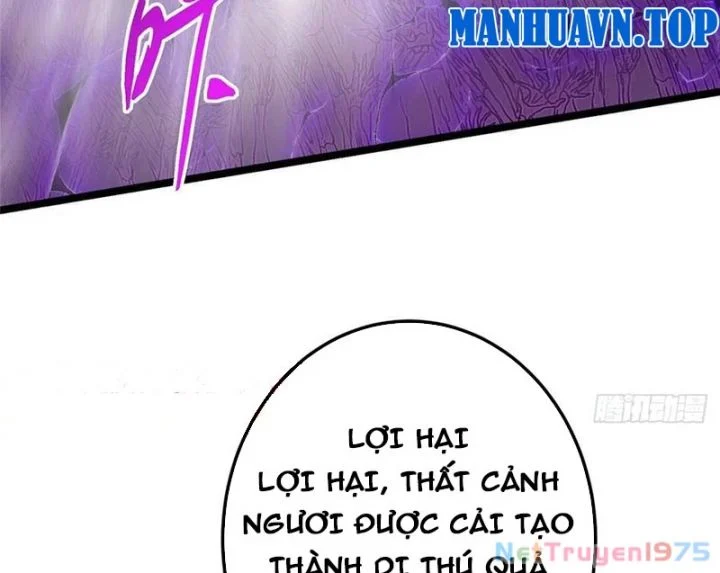Chưởng Môn Khiêm Tốn Chút Chapter 499 - Trang 2