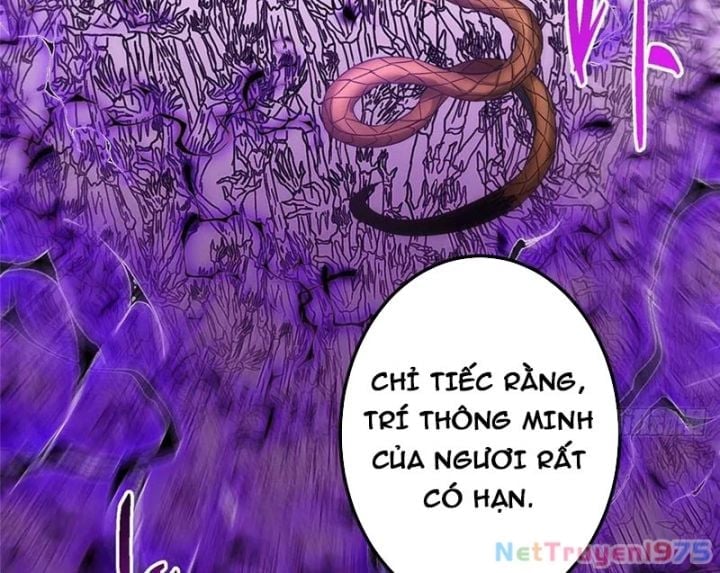 Chưởng Môn Khiêm Tốn Chút Chapter 499 - Trang 2