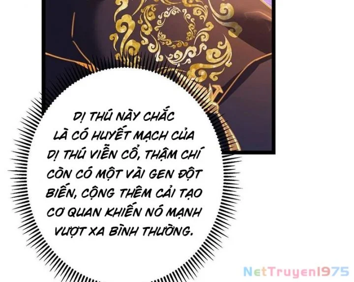 Chưởng Môn Khiêm Tốn Chút Chapter 499 - Trang 2