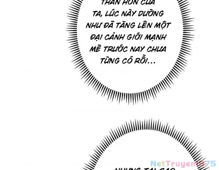 Chưởng Môn Khiêm Tốn Chút Chapter 499 - Trang 2