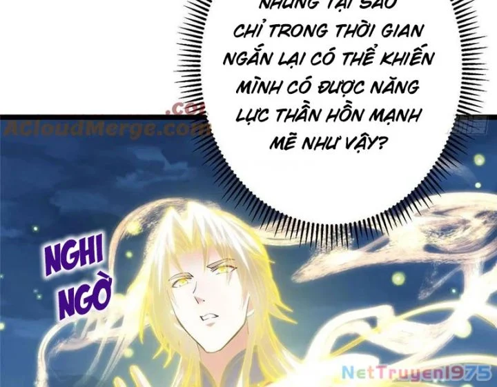 Chưởng Môn Khiêm Tốn Chút Chapter 499 - Trang 2