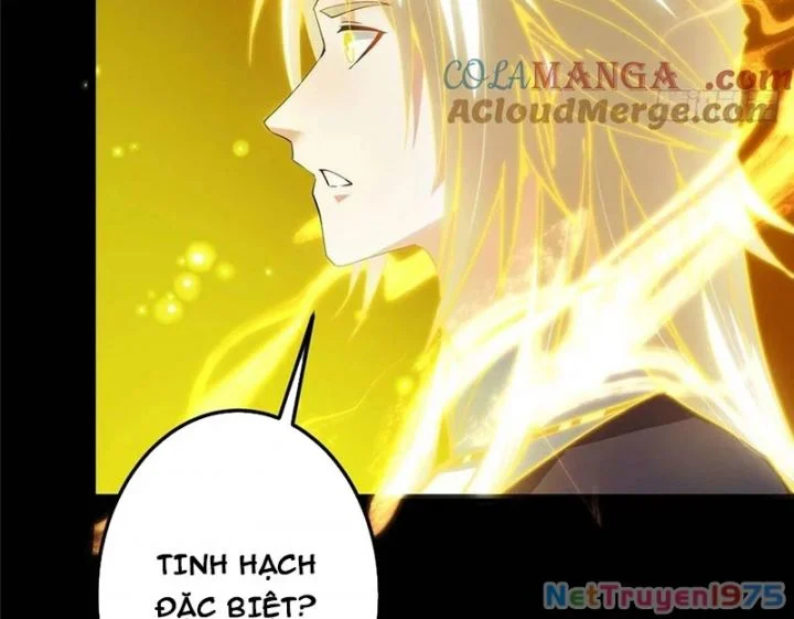 Chưởng Môn Khiêm Tốn Chút Chapter 499 - Trang 2