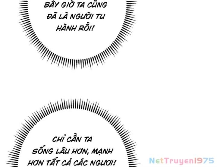 Chưởng Môn Khiêm Tốn Chút Chapter 502 - Trang 2