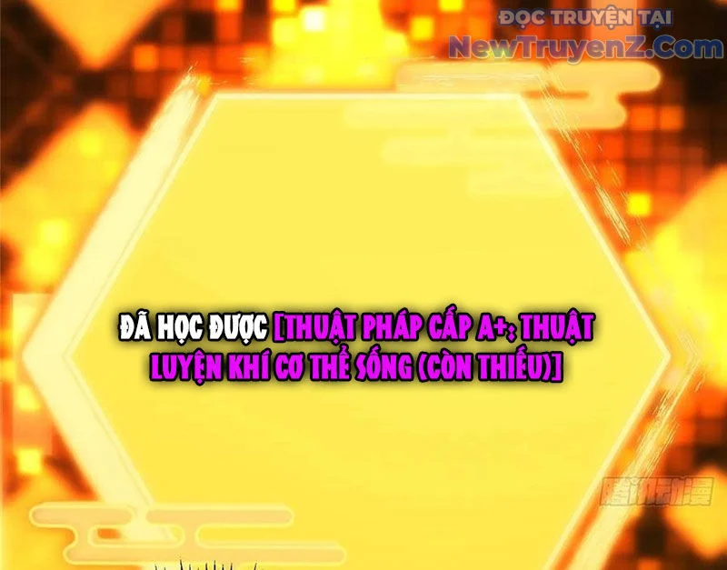 Chưởng Môn Khiêm Tốn Chút Chapter 507 - Trang 3