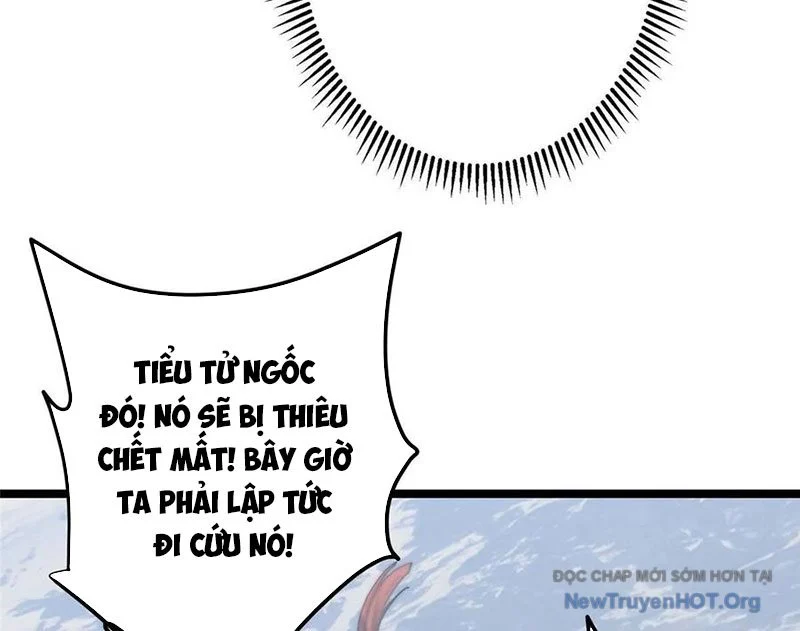 Chưởng Môn Khiêm Tốn Chút Chapter 515 - Trang 2