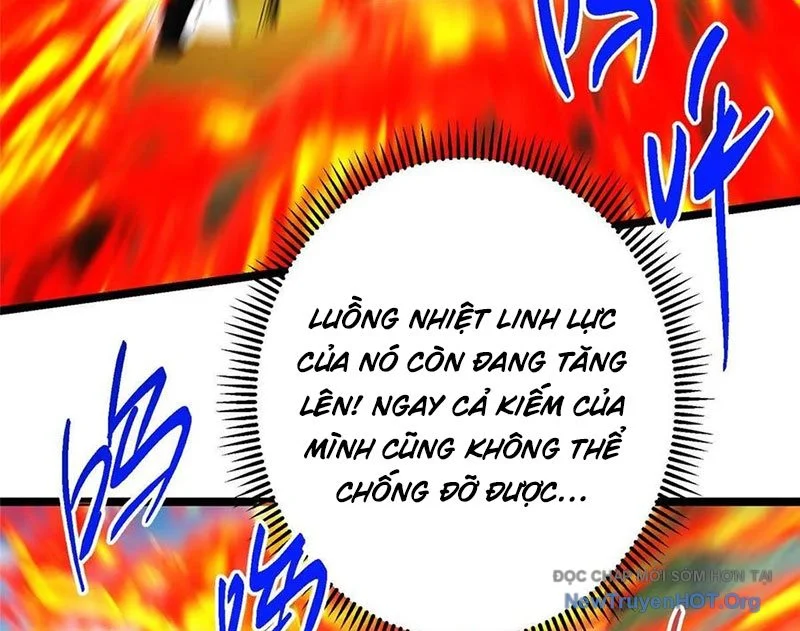Chưởng Môn Khiêm Tốn Chút Chapter 515 - Trang 2