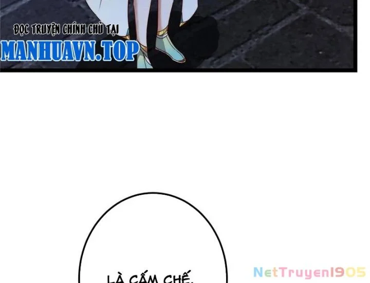 Chưởng Môn Khiêm Tốn Chút Chapter 519 - Trang 2