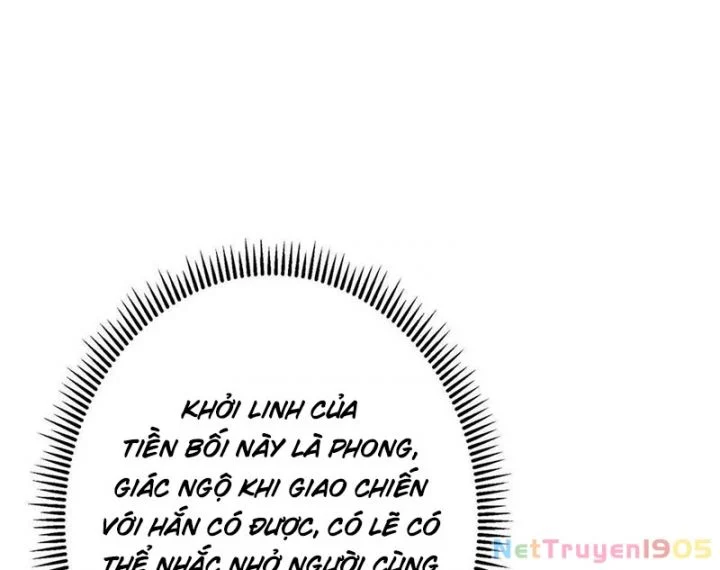 Chưởng Môn Khiêm Tốn Chút Chapter 519 - Trang 2