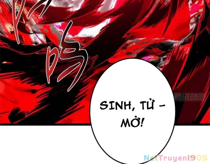 Chưởng Môn Khiêm Tốn Chút Chapter 519 - Trang 2