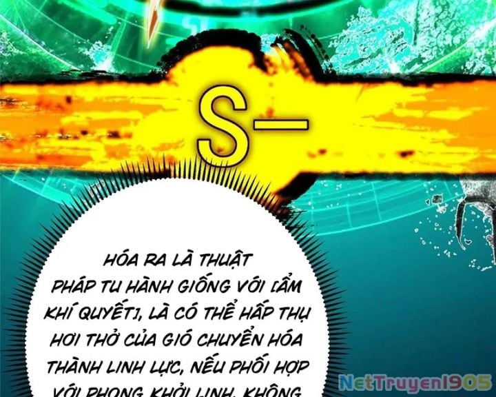 Chưởng Môn Khiêm Tốn Chút Chapter 520 - Trang 2
