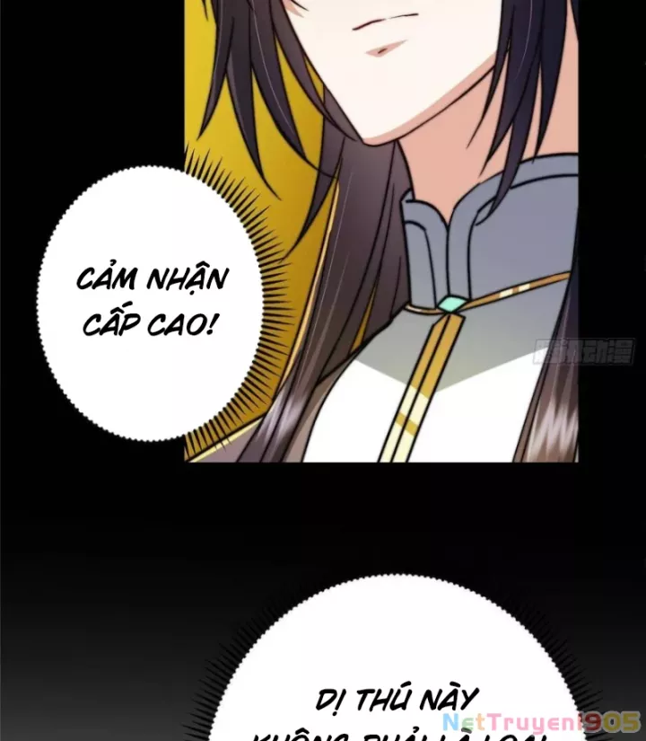 Chưởng Môn Khiêm Tốn Chút Chapter 531 74