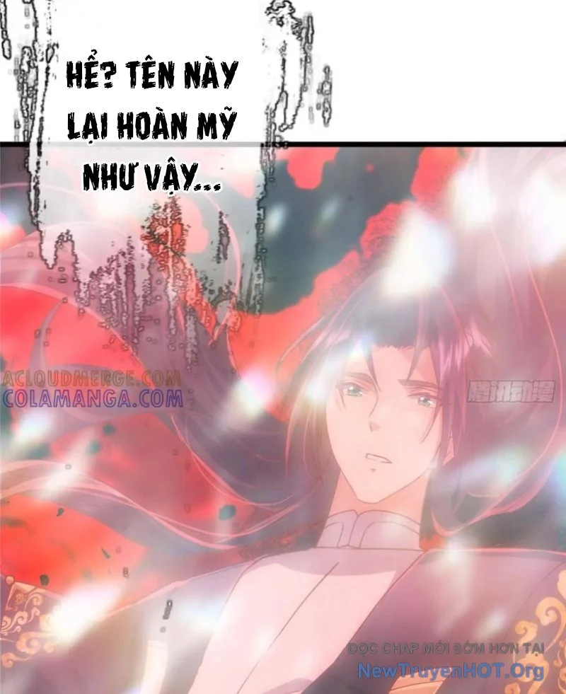 Chưởng Môn Khiêm Tốn Chút Chapter 534 - Trang 3