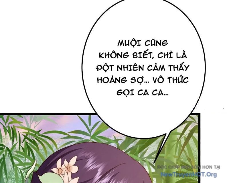 Chưởng Môn Khiêm Tốn Chút Chapter 542 - Trang 2