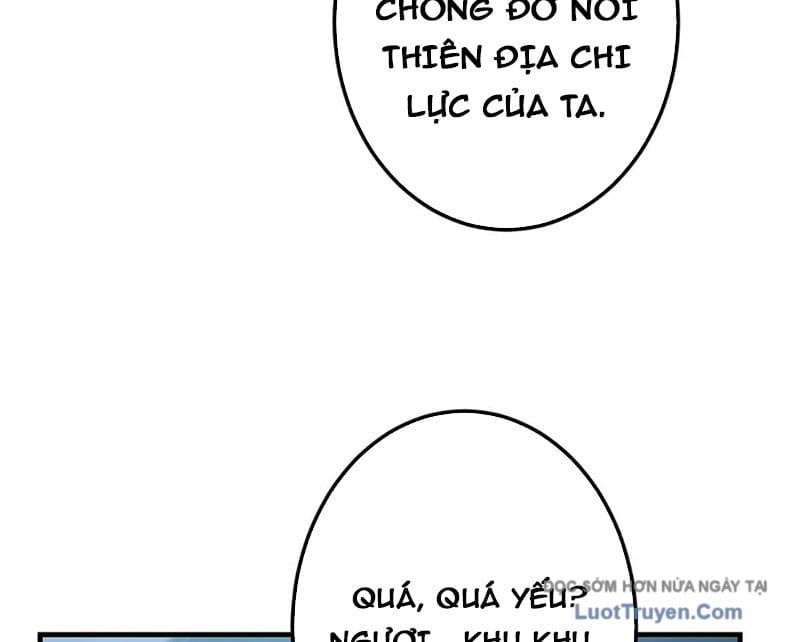 Chưởng Môn Khiêm Tốn Chút Chapter 562 - Next Chapter 563