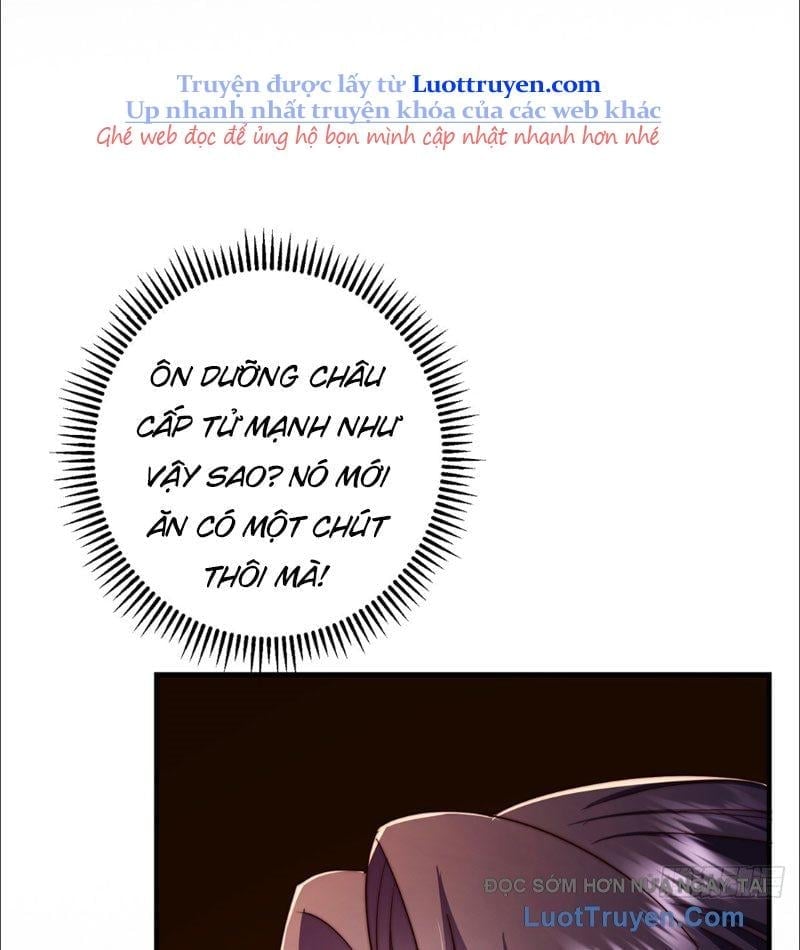 Chưởng Môn Khiêm Tốn Chút Chapter 565 - Trang 2