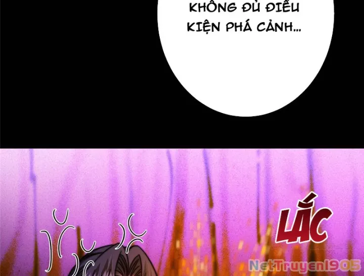 Chưởng Môn Khiêm Tốn Chút Chapter 567 - Trang 2