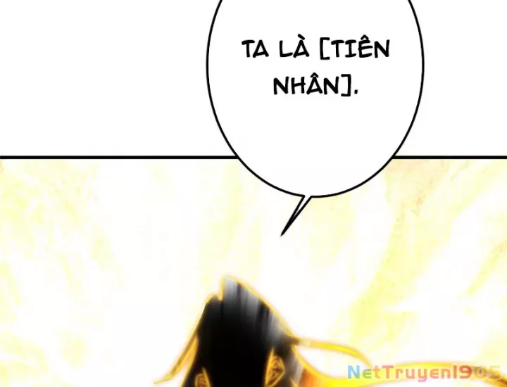 Chưởng Môn Khiêm Tốn Chút Chapter 567 - Trang 2