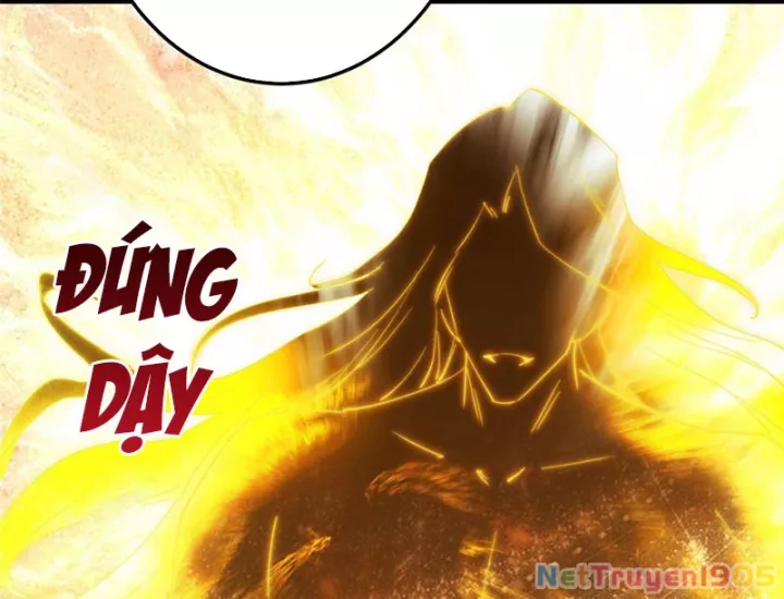 Chưởng Môn Khiêm Tốn Chút Chapter 567 - Trang 2