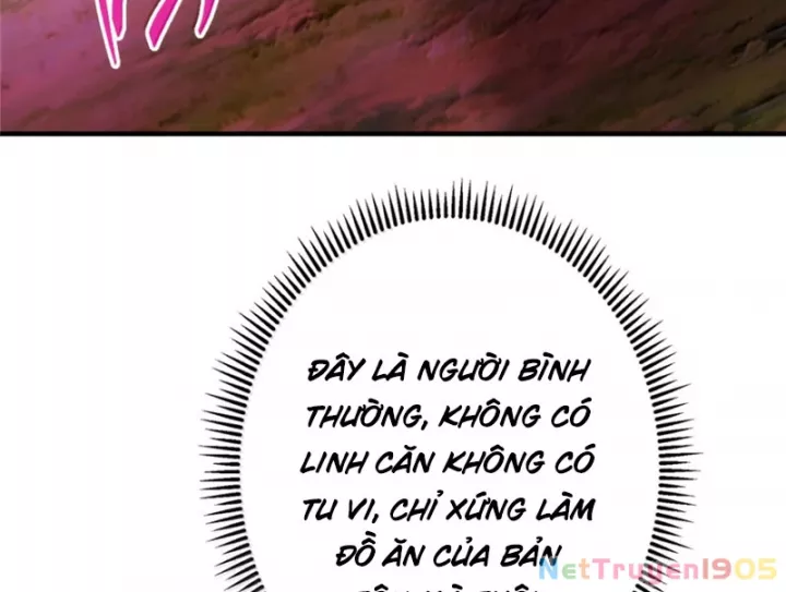 Chưởng Môn Khiêm Tốn Chút Chapter 569 - Trang 2