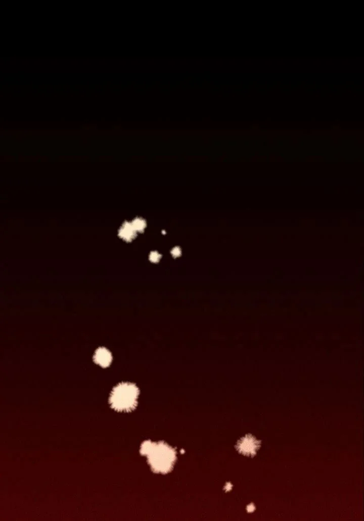 Chuyến Dã Ngoại Lần Thứ 11 Chapter 0 - Trang 2