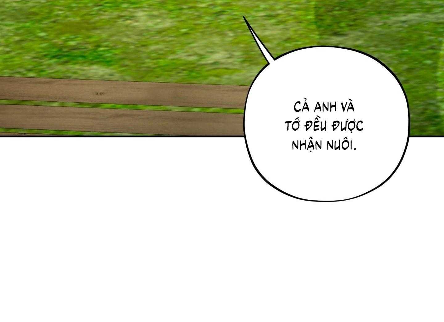 Chuyện Rằng Tôi Yêu Cậu Chapter 29 - Trang 2