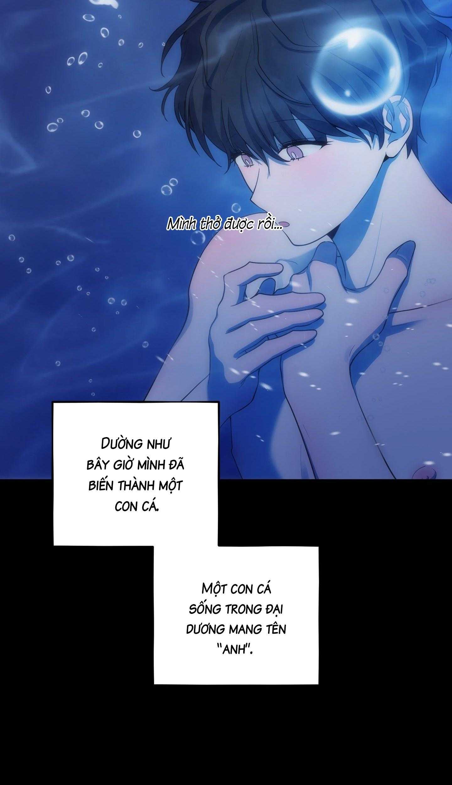 Chuyện Rằng Tôi Yêu Cậu Chapter 33 39