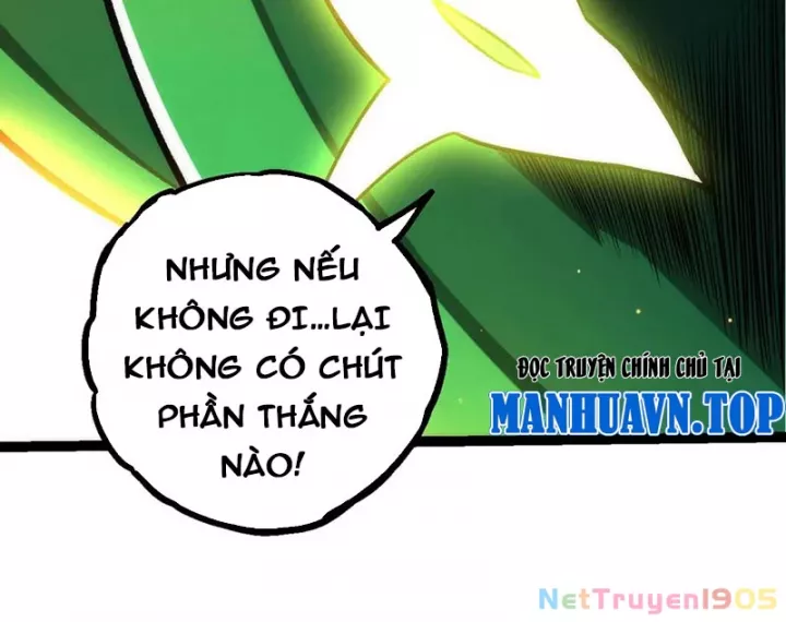 Chuyển Sinh Thành Liễu Đột Biến Chapter 404 - Trang 2