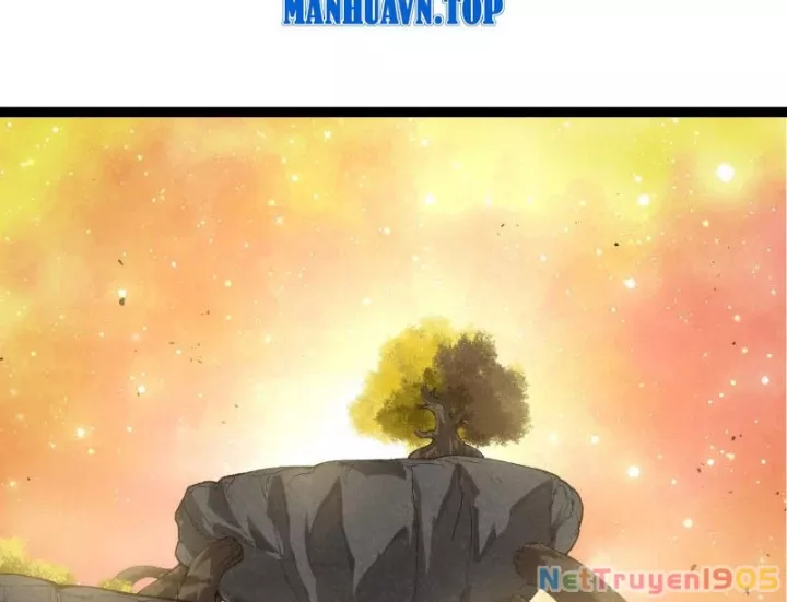 Chuyển Sinh Thành Liễu Đột Biến Chapter 436 - Next 