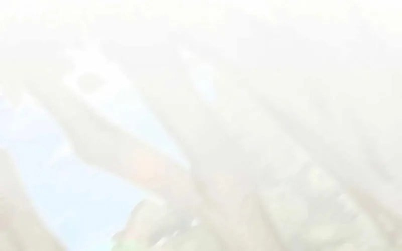 Chuyển Sinh Thành Thiên Tài Xuất Chúng Của Danh Môn Thế Gia Chapter 61 - Trang 2