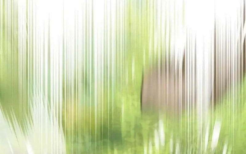 Chuyển Sinh Thành Thiên Tài Xuất Chúng Của Danh Môn Thế Gia Chapter 61 - Trang 2