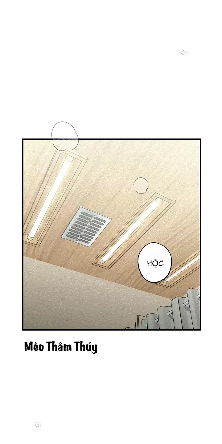 Chuyến Tàu Cuồng Loạn Chapter 19 - Trang 2