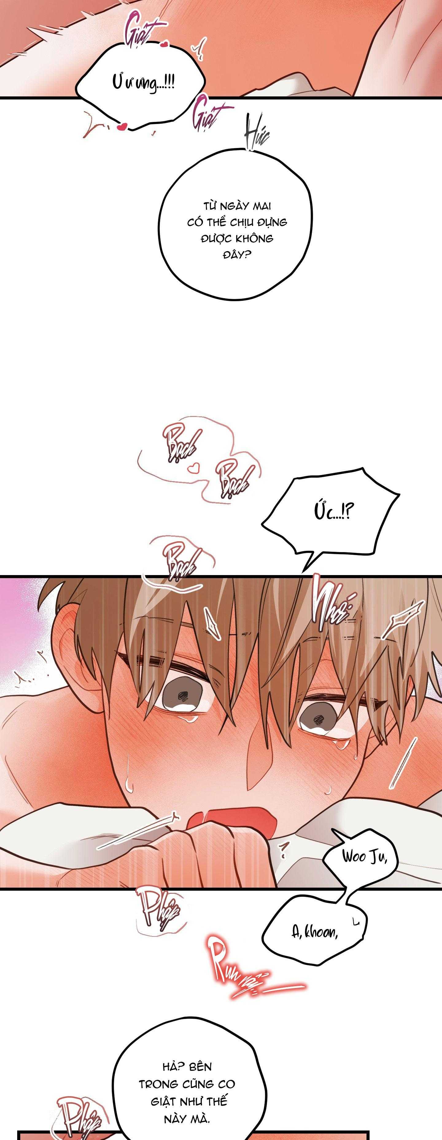 CHUYỆN TÌNH HOA LÊ NỞ Chapter 80 - Trang 3