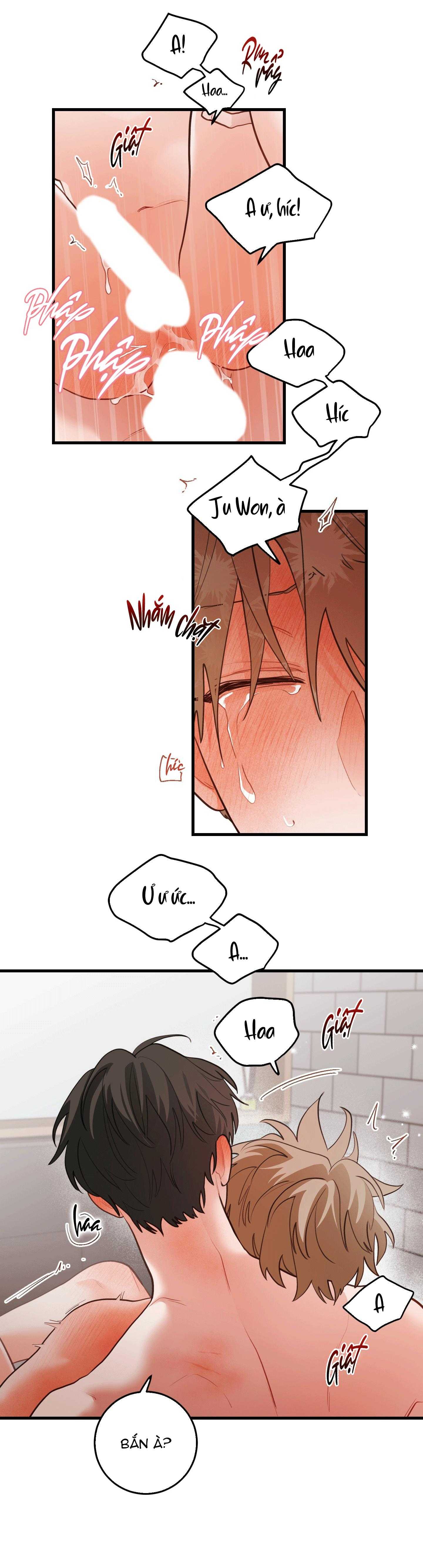 CHUYỆN TÌNH HOA LÊ NỞ Chapter 81 - Trang 3