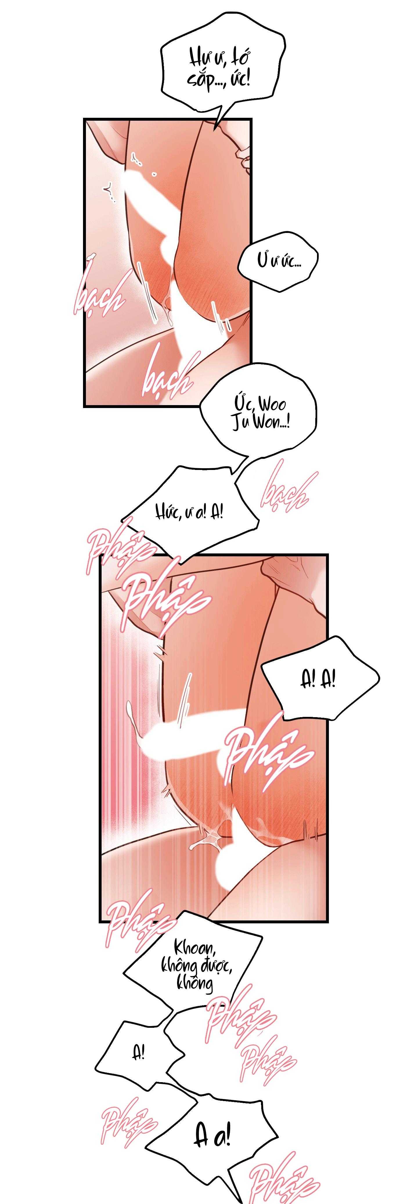 CHUYỆN TÌNH HOA LÊ NỞ Chapter 81 - Trang 3