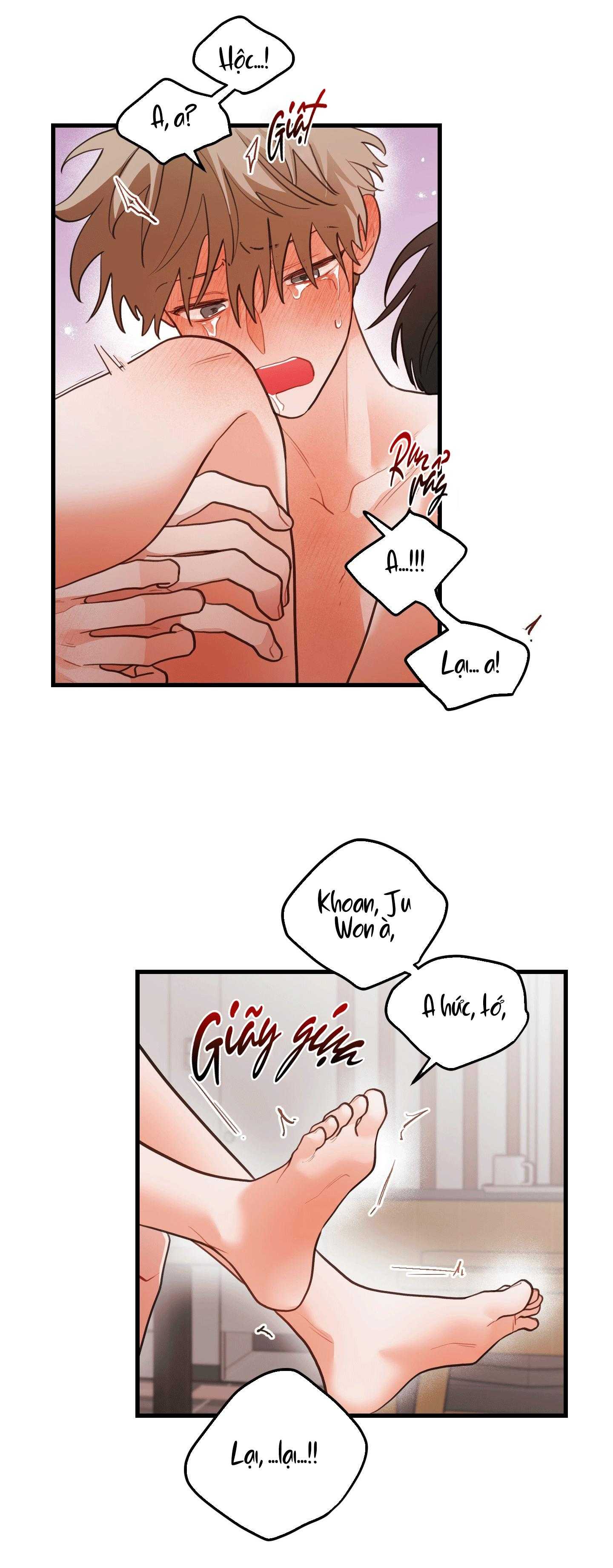 CHUYỆN TÌNH HOA LÊ NỞ Chapter 81 - Trang 3