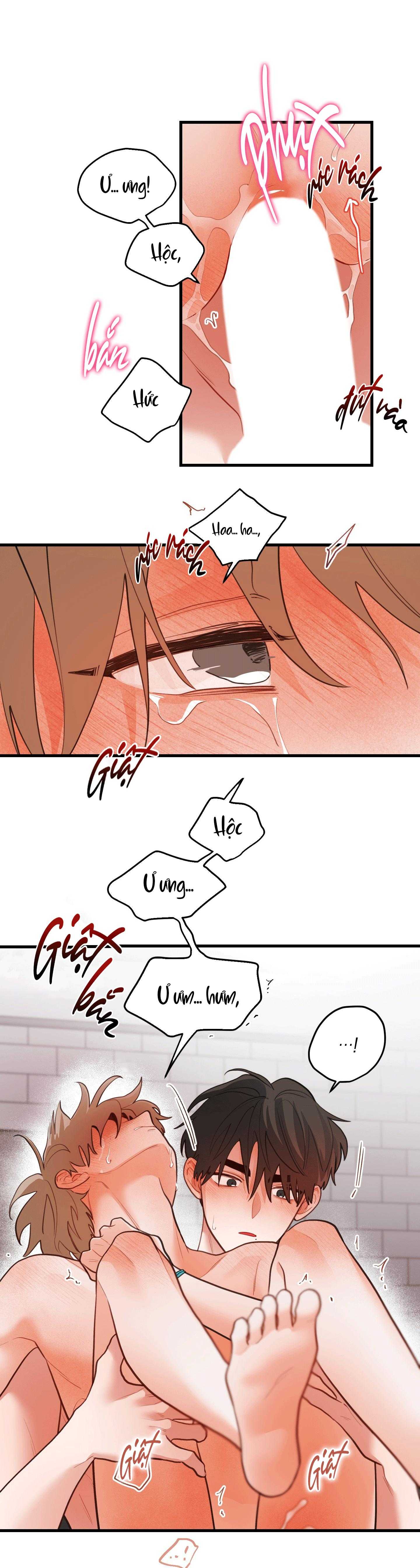 CHUYỆN TÌNH HOA LÊ NỞ Chapter 81 - Trang 3