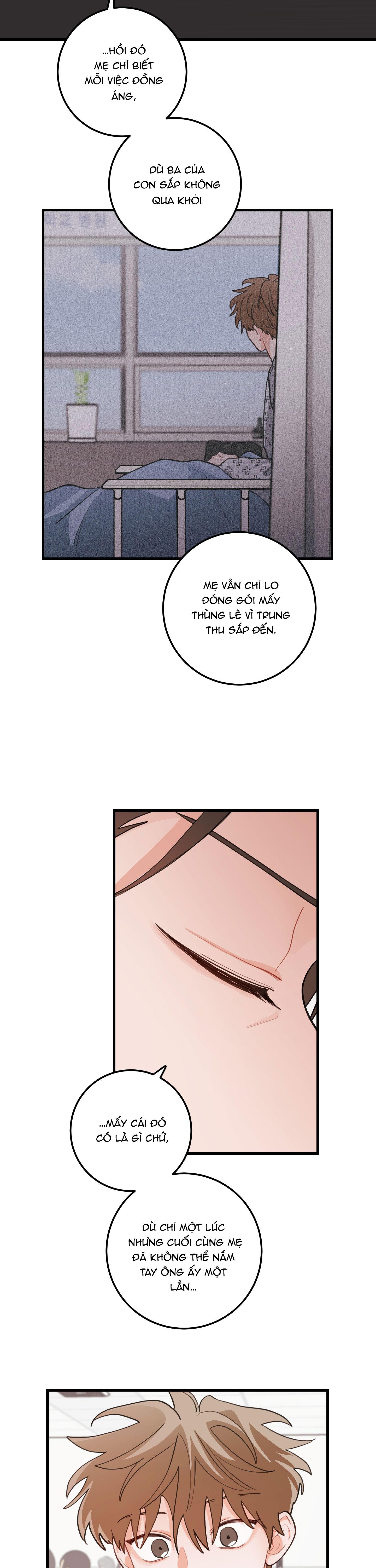 CHUYỆN TÌNH HOA LÊ NỞ Chapter 83 - Trang 3