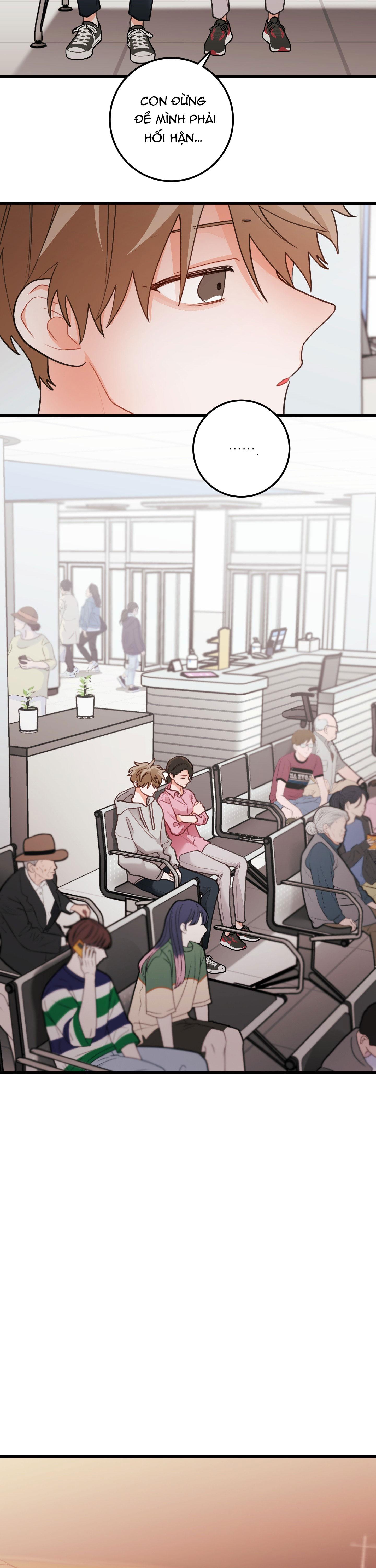 CHUYỆN TÌNH HOA LÊ NỞ Chapter 83 - Trang 3