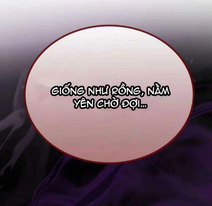 Có Lẽ Là Vô Địch Chapter 29 - Trang 2