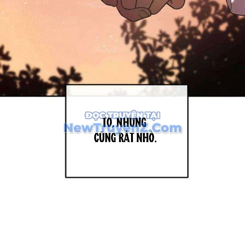 Có Lẽ Là Vô Địch Chapter 31 - Trang 2