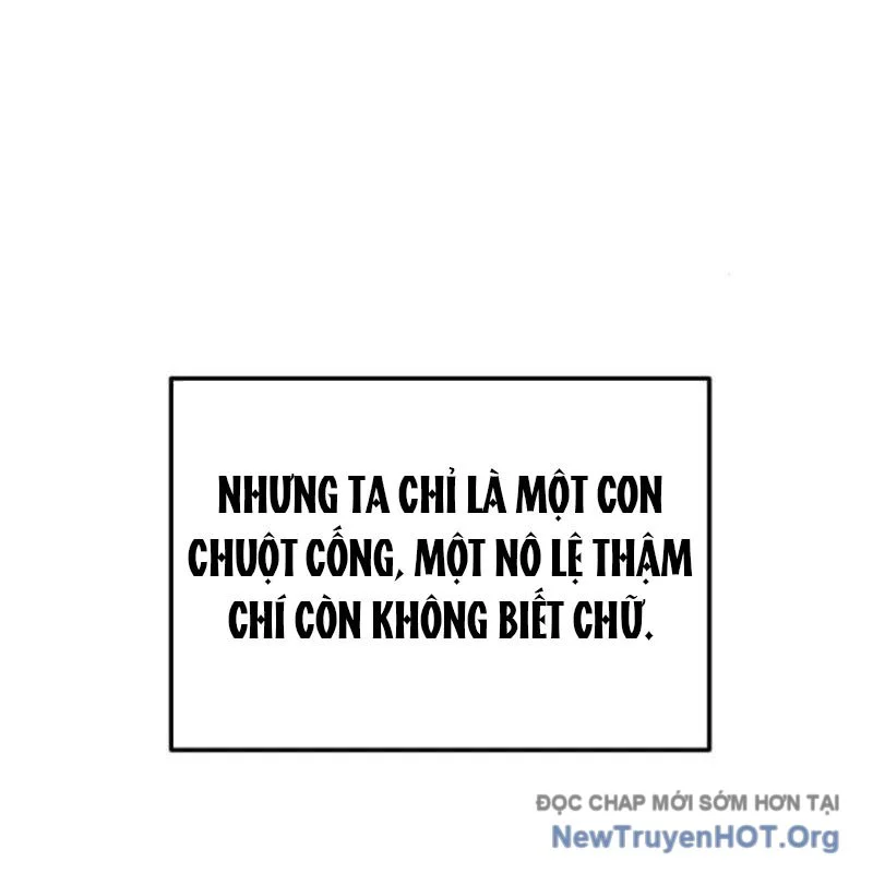 Có Lẽ Là Vô Địch Chapter 40 - Trang 2