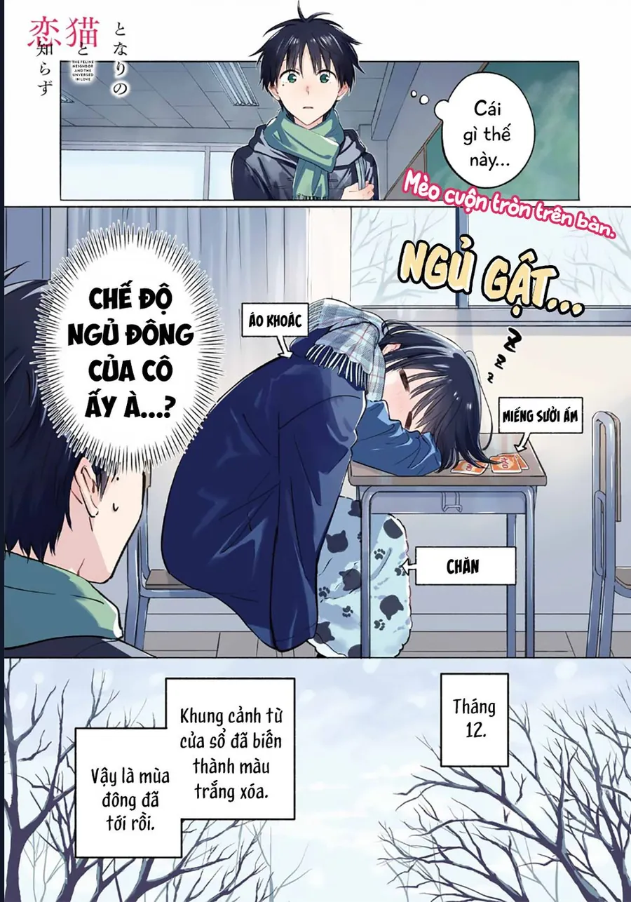 Cô Nàng Mèo Ngủ Gật Và Chàng Trai Hướng Nội Chapter 32 2