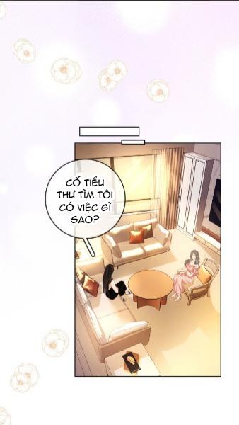 Cố Tiểu Thư Và Khúc Tiểu Thư Chapter 4 - Trang 2
