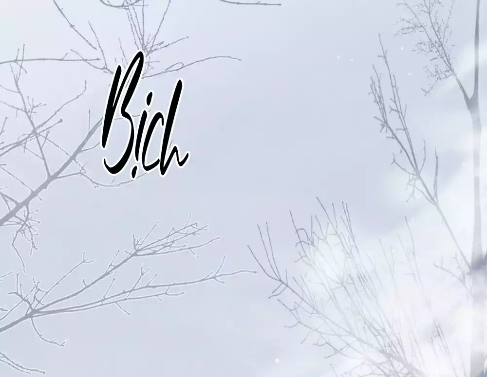 CODENAME ANASTASIA Chapter 61 - Trang 2